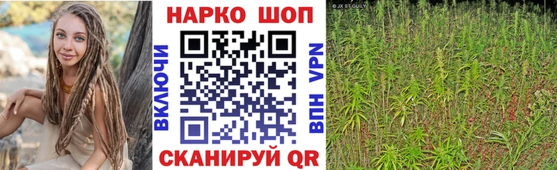 Где купить Андреаполь Кокаин АМФЕТАМИН СОЛЬ МАРИХУАНА Меф мяу мяу