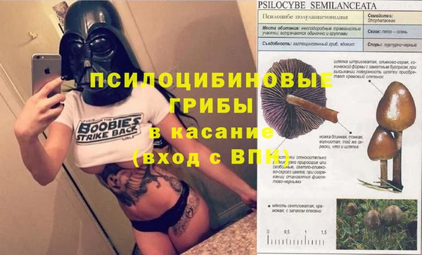 ALPHA PVP Алексин