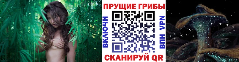 Галлюциногенные грибы мухоморы  Андреаполь 